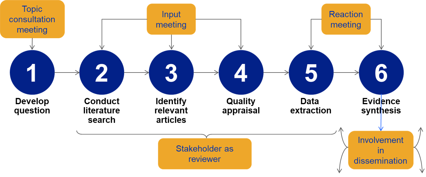 how-we-do-systematic-reviews-institute-for-work-health