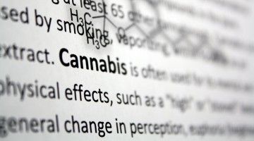 Word cannabis highlighted in a journal article