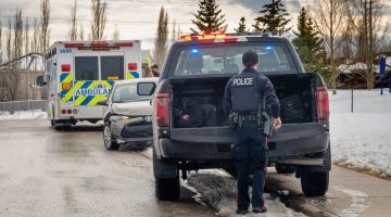 Paramedic and police vehicles at a roadside accident
