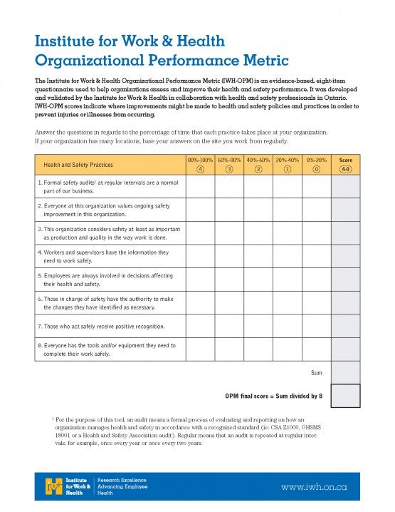 First page of I W H Organizational Performance Metric eight-item measure
