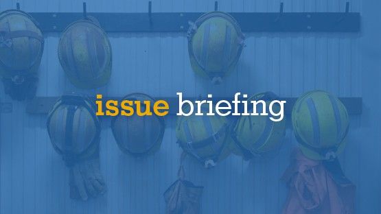 issue briefing