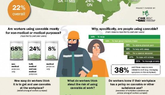 Image of infographic on cannabis use and the Canadian workplace before legalization