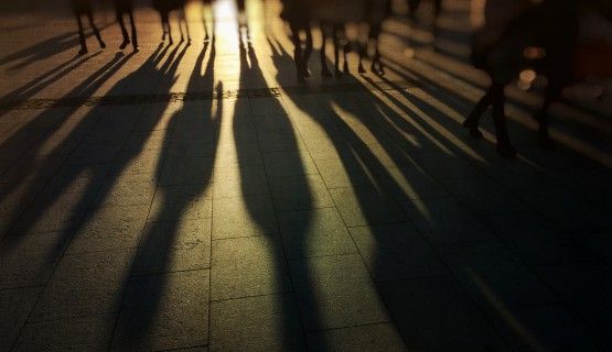Long shadows cast by a row of workers