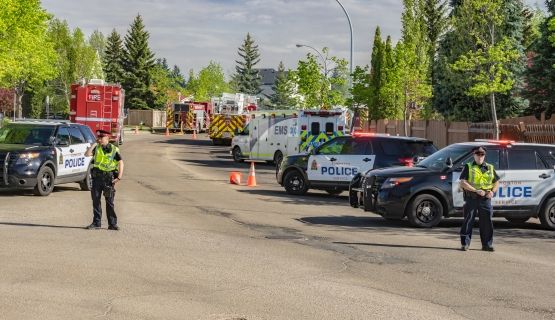 Police, fire service and paramedic vehicles 