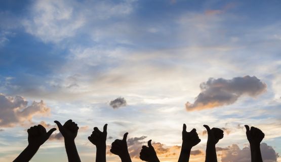 Silhouette of a row of hands holding their thumbs up against a dusky sky